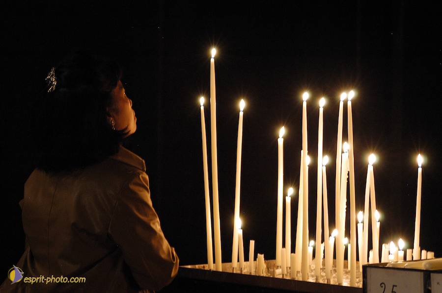 Nom de l'image : D1121460-01_(c)Norbert-JUNG — Description :